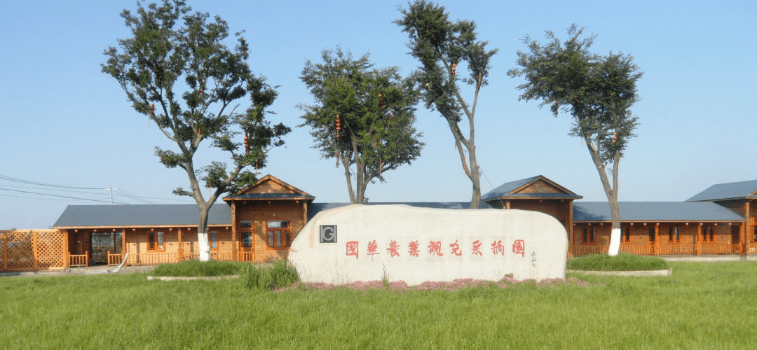 地源中药材