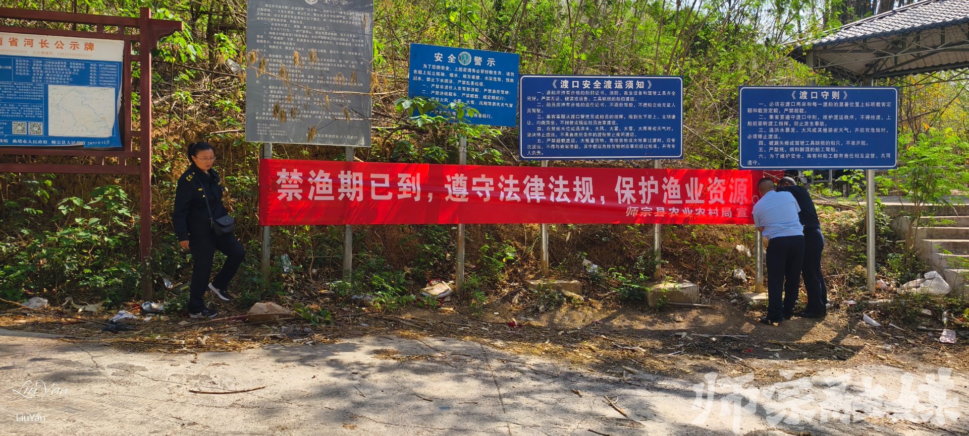 地源中药材